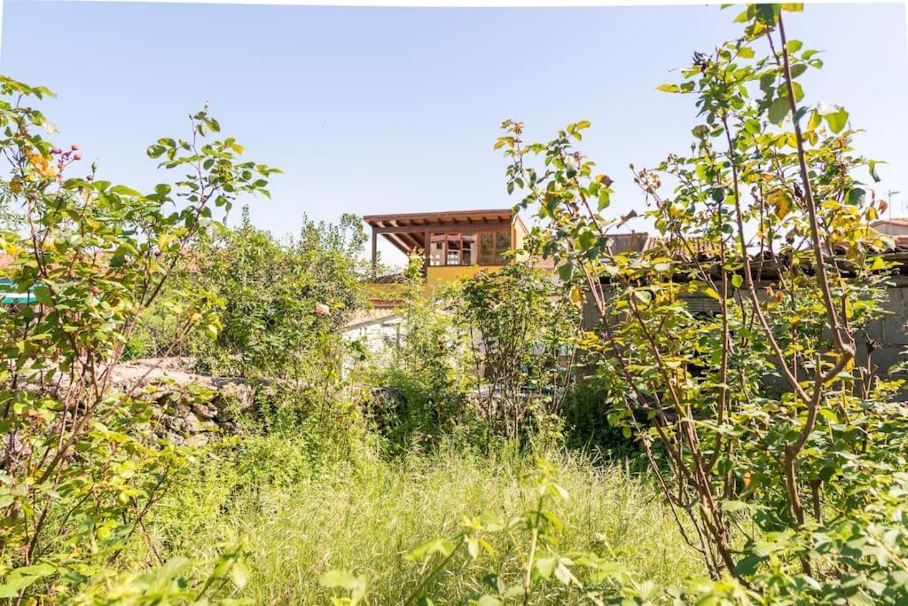 Casa La Vera Rural Talaveruela ภายนอก รูปภาพ